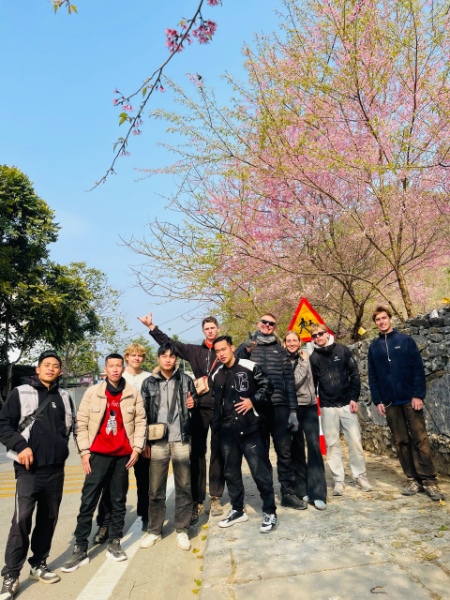 Peach blossoms at Lung Cu flagpole